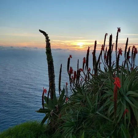 Bed & Breakfast Casa Vida Alegre 3*