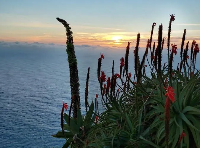 Panzió Casa Vida Alegre 3*
