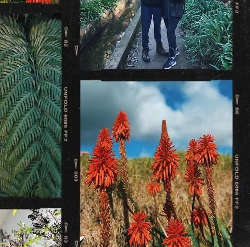 Casa Vida Alegre Panzió